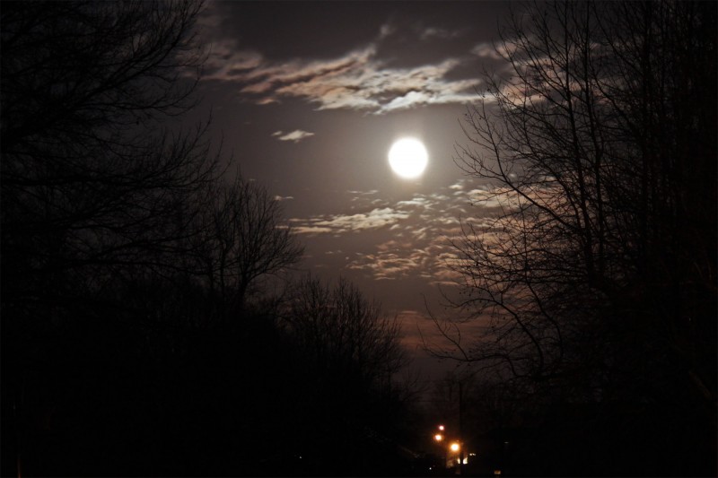 moonlit-night
