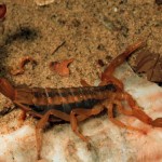 Something You Don’t See Everyday…