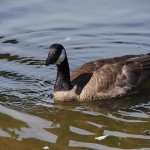 Vacation Pictures… Final