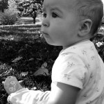 Friday Photos — Allison Outdoors