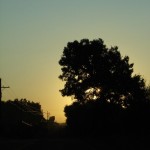 Friday Photos:  Dawn